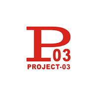 PROJECT 3